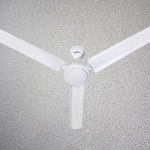 True Value Ceiling Fans