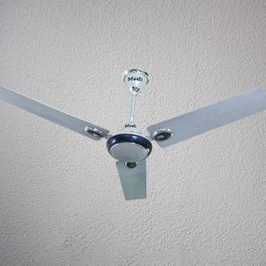 Rainbow Ceiling Fans
