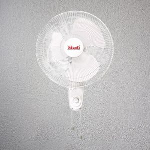 Wall Fan 12