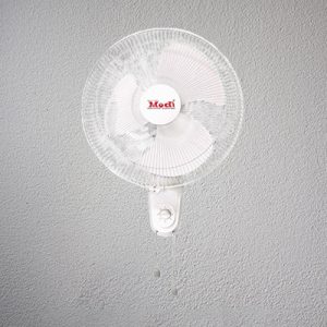 Wall Fan 16